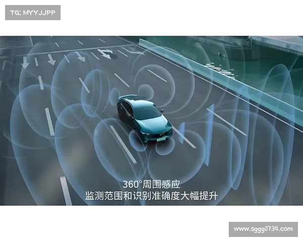解密S赛冠军成长历程与战略布局探索背后的关键要素与成功之道