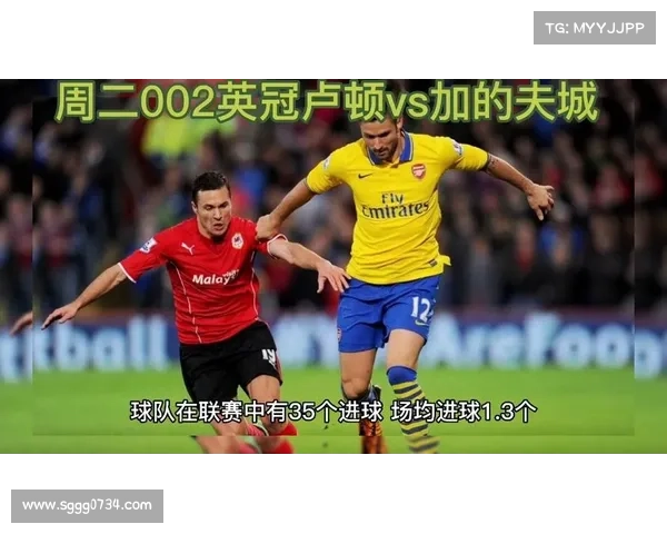 如何查找加的夫城所在足球联赛级别及其历史参赛情况