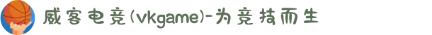 威客电竞(vkgame)-为竞技而生